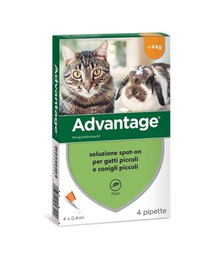 ADVANTAGE 4 PIPETTE 0,4ML SPOTON GATTI/CONIGLI PICCOLI