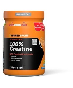 NAMED SPORT CREATINE 100% 250G